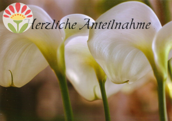 Trauerkarte Herzliche Anteilnahme