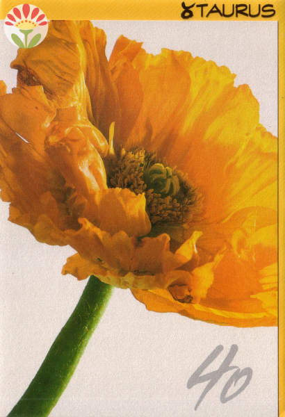 Klappkarte 40. Geburtstag, Mohnblume