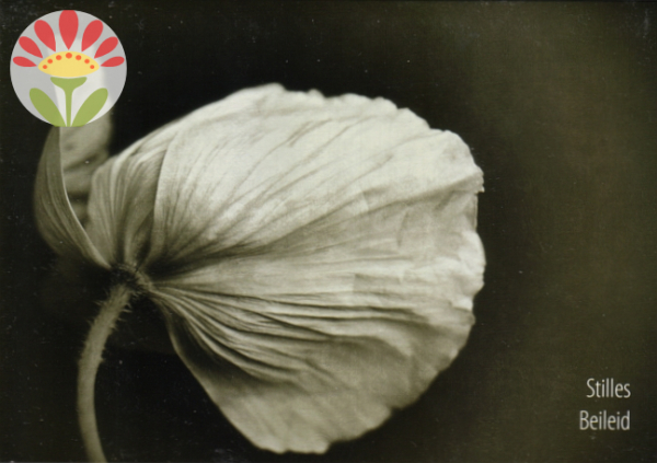 Trauerkarte Stilles Beileid