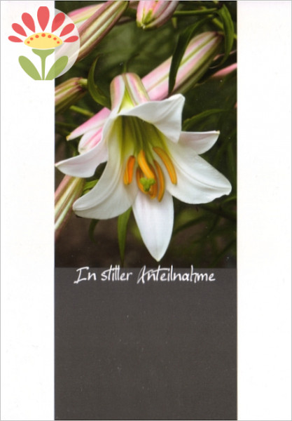Trauerkarte In stiller Anteilnahme, Lilie