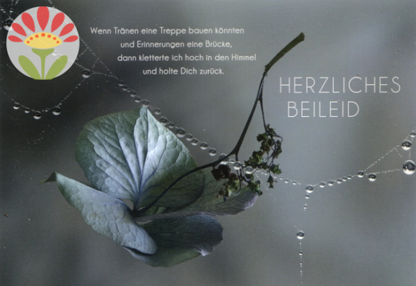 Trauerkarte Wenn Tränen eine Brücke bauen könnten