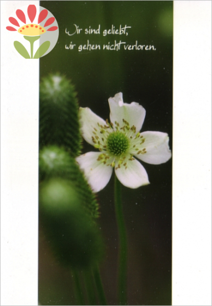 Trauerkarte Wir sind geliebt, wir gehen nicht verloren