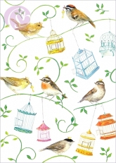 Postkarte Vögel & Vogelkäfige