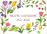 Postkarte Die besten Wünsche für dich