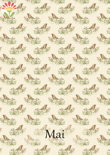 05/ Postkarte Mai, Vögelchen