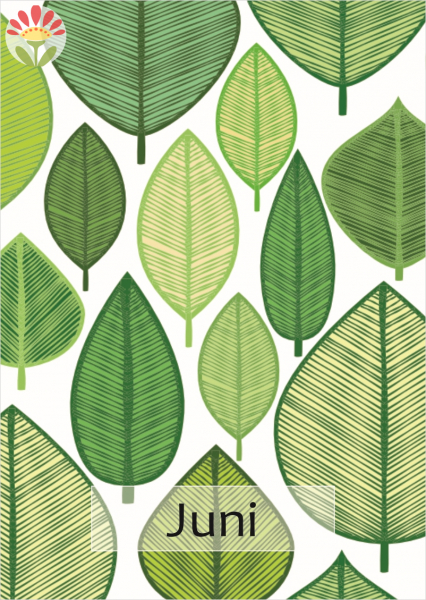 06/ Postkarte Juni, Blätter