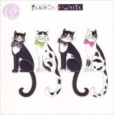 Klappkarte Black and White (R*)