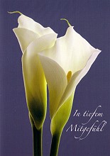 Klappkarte In tiefem Mitgefühl, Callas