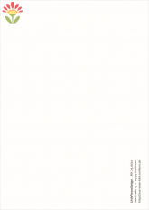 06/ Postkarte Juni, Blätter