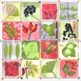 Postkarte Blätter & Beeren