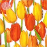 Geschenkkarte Tulpen