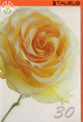 Klappkarte 30. Geburtstag, Rose