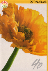 Klappkarte 40. Geburtstag, Mohnblume