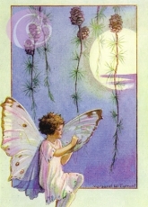 Postkarte Larch Fairy