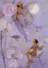 Postkarte Fairies Serenade