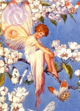Postkarte Pear Blossom Fairy