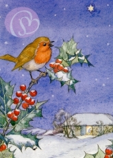 Postkarte A Robin Sitting on a Holly Tree Branch