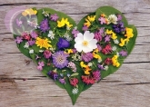 Postkarte Herz aus Blättern & Blüten