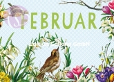 2/ Postkarte Februar