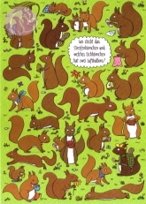 Postkarte, Rästelkarte Eichhörnchen