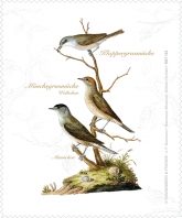 Brillenputztuch Mönchsgrasmücke