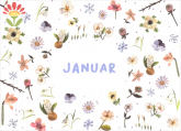 Monatskarte Januar