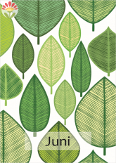 06/ Postkarte Juni, Blätter
