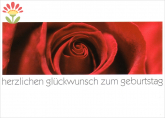 Postkarte Geburtstag, Rose