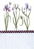Postkarte Schwertlilien
