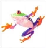 Postkarte Fliegender Frosch