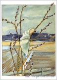 Postkarte Weidekind