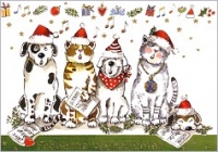 Postkarte Tenöre mit vier Pfoten