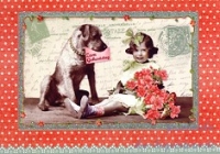 Postkarte Geburtstag, Hund