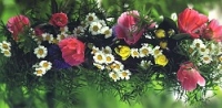 Postkarte Sommerblumen