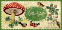 Postkarte Glückspilz