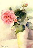Mörker, Marlies - Rose in Vase
