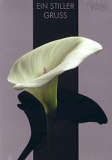 Trauerkarte Ein stiller Gruss, Calla