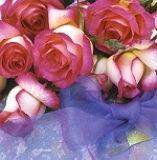 Postkarte Roses & Ribbon