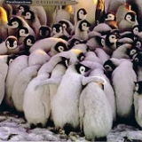 Klappkarte All together