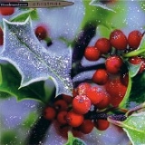 Klappkarte First Frost