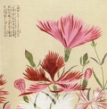 Honzo Zufu - Klappkarte Blumen, rot