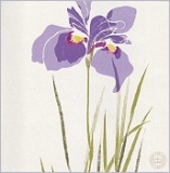 Honzo Zufu - Klappkarte Blumen, violett